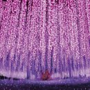현플라워 - 홍성군 충절로 997-10 | 현플라워