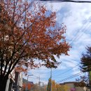 한미소프트 | 칠곡경양식 한미식당 맛있는 비프코던블루 체험 후기