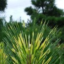 남송농원 이미지