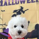 양산유치원 이미지