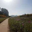 대원현대부동산공인중개사사무소 이미지