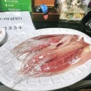 남양주락실내바다낚시터 이미지