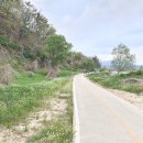 낙동강변27 이미지