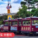 수원-1795 이미지