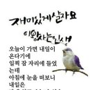 카페리시안 - 홍성군 남학길 146-25 | 카페리시안