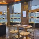 도그마루 강아지 고양이 부산점 이미지