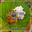 연희농장 | 우렁쌈밥을 먹을 수 있는 웨돔맛집 [연희밥상]