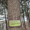 노온정수장(숲길) | [광명 4산 종주]도덕산~구름산~가학산~서독산 연계 산행!!