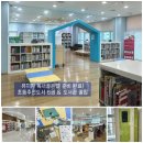 골든벨PC | 독서 골든벨 준비하기 📚 초등 추천도서부터 도서관 대출 꿀팁까지! (김포 고촌도서관 후기)