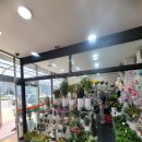 리치마트약국 이미지