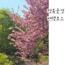 진남제일시장 | 5월에 가볼만한곳 문경여행 축제/ 카페/ 체험 모음zip