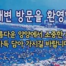 용천낚시 - 제주시 임항로 64 | 용천낚시
