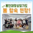 용인대 명성 합기도 이미지