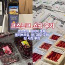 타이어할인마트 | 코스트코 쇼핑후기 타이어교체 올리브오일 쌀 체리...베이커리 탄산수 섬유유연제 코스트코 할인 가격 시식