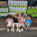 용수목 | 가평 : 용수목펜션 키즈룸 키즈펜션