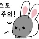 성일상사 이미지