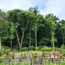 대룡상회 이미지