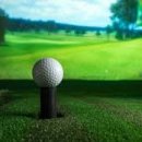 수스크린골프 이미지