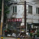 배다리수족관