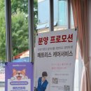 내가품은Dog | 안산애견분양 건강한 반려견 내가품은Dog분양샵 방문 후기