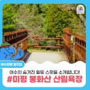 [전남 산책로 추천] 여수의 숨겨진 힐링 스팟을 소개합니다! #미평 봉화산 산림욕장