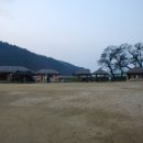 대지주막