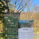 보석사   은행나무 | 은행나무 보러갔다 발견한 보석같은 절, 금산 보석사