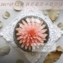 장안로 이미지