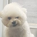 복권백화점 이미지
