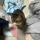 배스킨라빈스 미아삼거리점 이미지