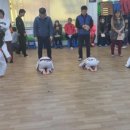 국가대표 타이거 태권스쿨 이미지