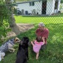 이웃집 댕댕이 이미지