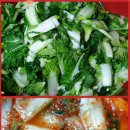 청송유기농