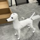 Design Dog 이미지