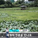 전주문화 | 전주 연꽃 명소 덕진공원 후기 | 연화정 도서관, 전주 연꽃 문화 축제 정보