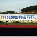 금진초등학교 이미지