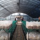 영월농장 이미지