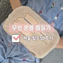 포그니전기난방 | 겨울철 사무실 필수템 루루아 포그니 온수찜질기 후기