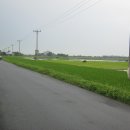 민들레 행정사사무소 이미지