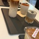 애완용품할인마트다인애견 다이닝코드