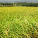 모터박스 이미지