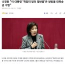나경원 "李대통령의 인천공항 '책갈피 달러 밀반출' 은 쌍방울 대북송금 수법" 이미지