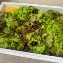 금수농장 이미지