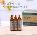 자연을 마시는 우리차 | 대원제약 알부민킹 솔직 후기, 지친 일상에 활력을 더해준 마시는알부민