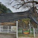 유명산골 이미지