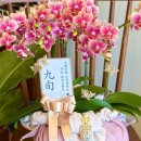 좋은날,여기 이미지