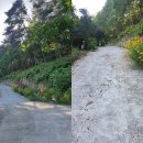 산상낙원 이미지