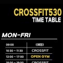 크로스핏 530 이미지