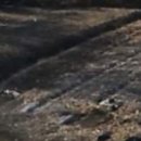 하대동147 이미지