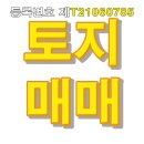 울산토지 울산대대리토지 주택지 총면적 약3011㎡(약911평) 제T21060785 이미지